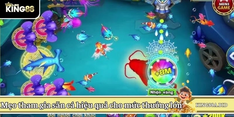 Mẹo tham gia săn cá hiệu quả cho mức thưởng lớn 